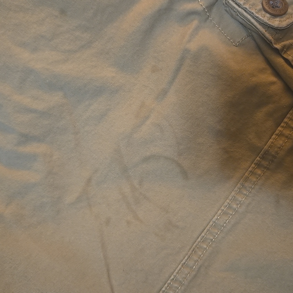 BNWT AE 10" Flex Lived-In Cargo Short - Picture 5 of 5